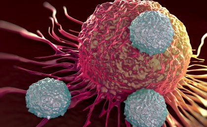 T-cells attacking a tumor cell