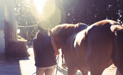 About 85 per cent of patients with horse-related trauma were female, and more than a third of injuries involved children aged 12 to 14 years.