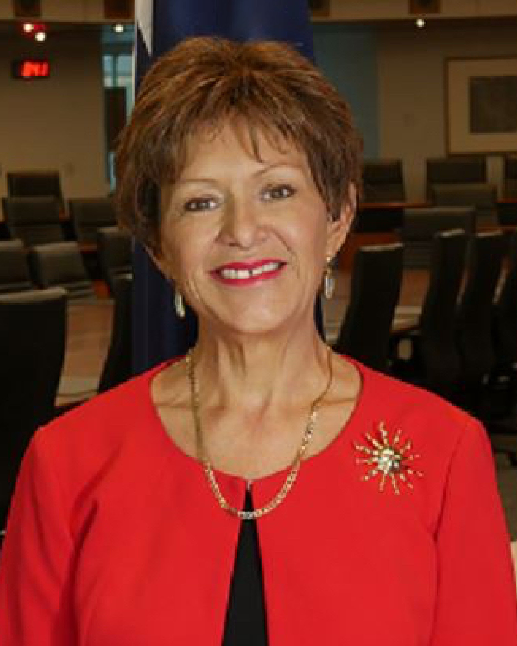 Professor Bronwyn Fredericks