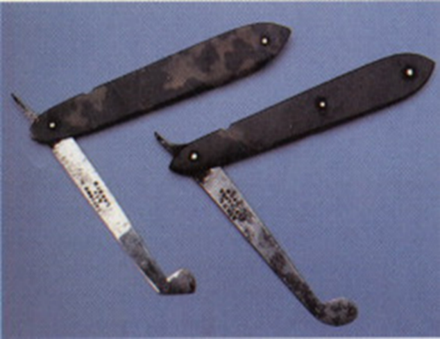 19th Century tortoiseshell handled lancets used for Gum Cutting and Phlebotomy