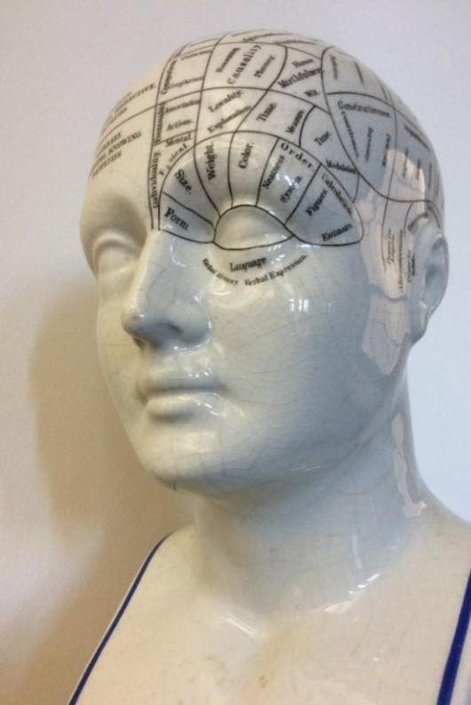 Phrenology modek