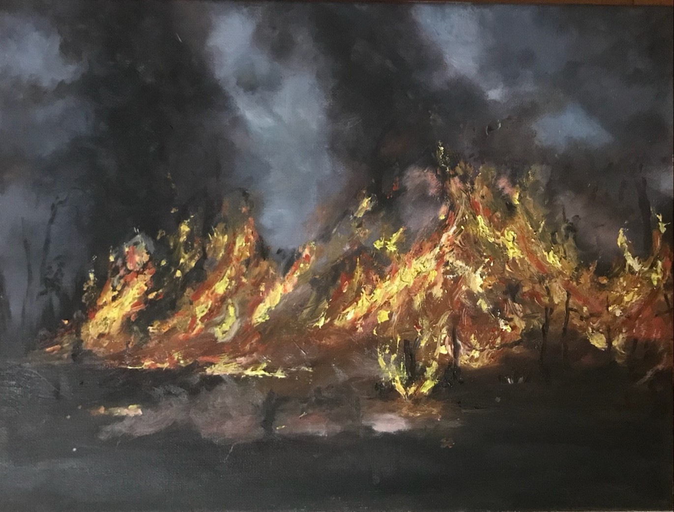 Forest Fire