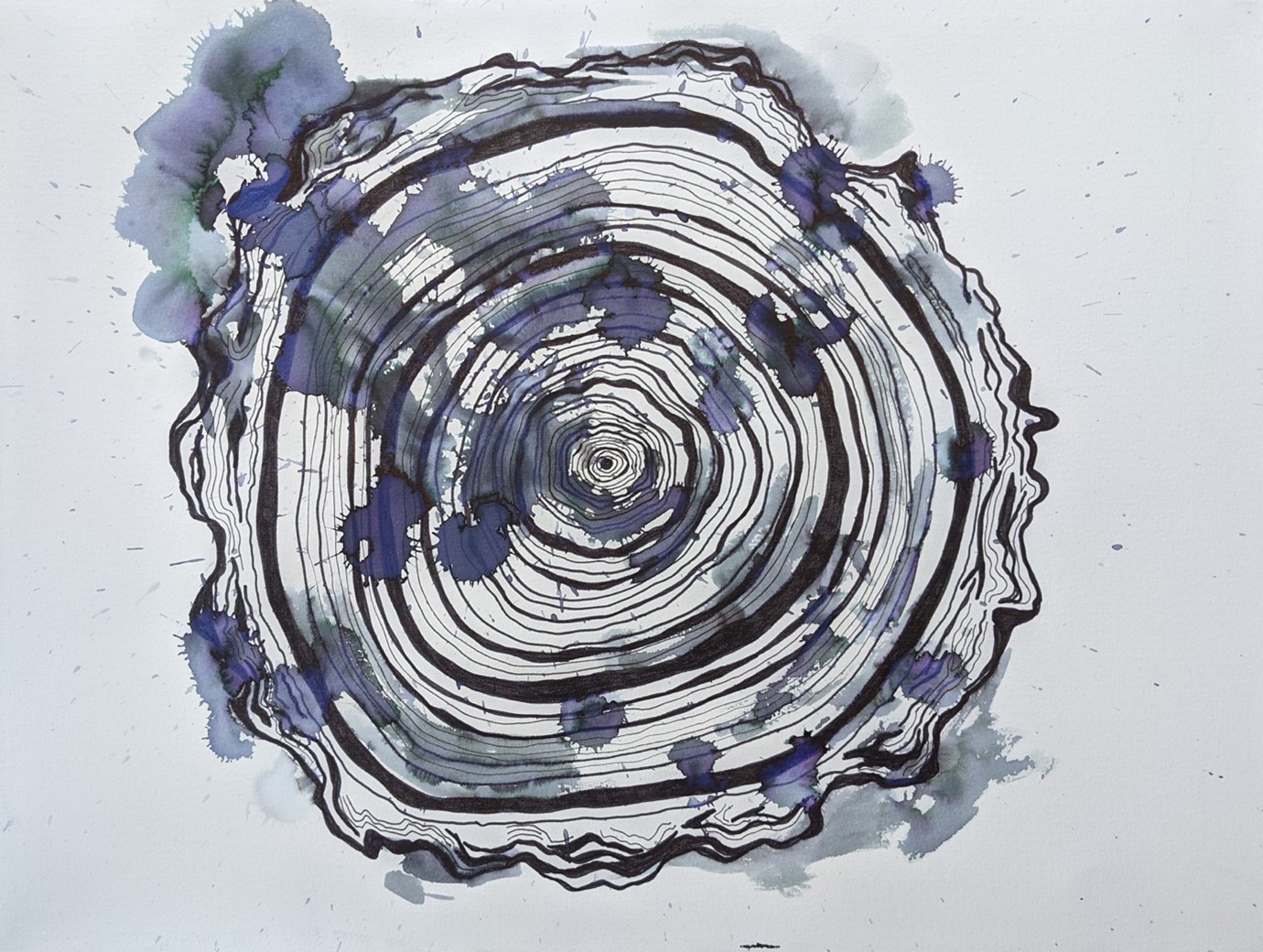 Tree cross section