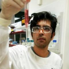 Image of Dr Iman Azimi