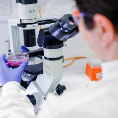 ARC Discovery Grants