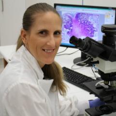 Image of Associate Professor Allison Pettit