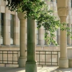 UQ's sandstone pillars