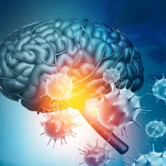 Adobe Stock graphic of a brain and COVID virus