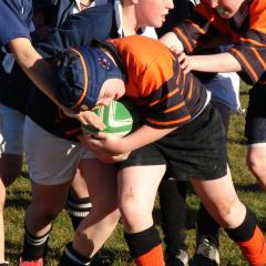 Concussion in children