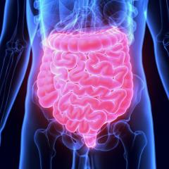 Changes in the gut have been linked to type 1 diabetes.