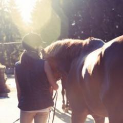 About 85 per cent of patients with horse-related trauma were female, and more than a third of injuries involved children aged 12 to 14 years.