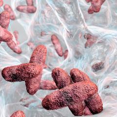 Superbug Klebsiella