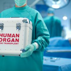 organ transport box