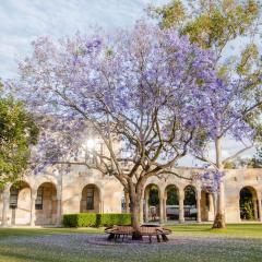 Jacaranda tree in Great Court