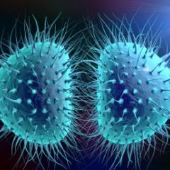 Push to control gonorrhoea as resistance threat looms