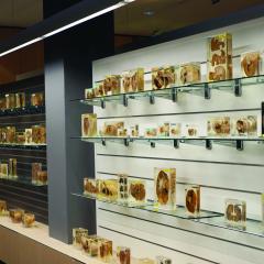 IPLC specimens
