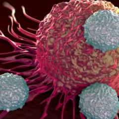 T-cells attacking a tumor cell