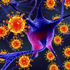 Superbugs