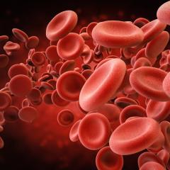 Blood cells