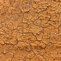 Cracked ground