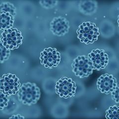 Back to bacteria