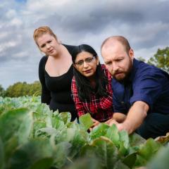 Environmental health sciences