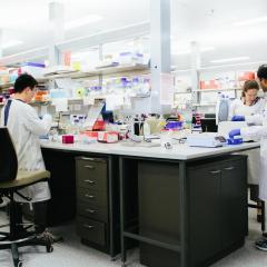 Lab