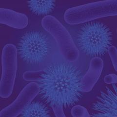 Superbugs