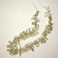 Tooth necklace