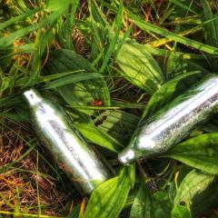 Nangs