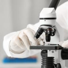 Researcher looking in microcsope