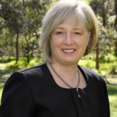 Professor Carolyn Mountford will be the new TRI CEO from February 2015.