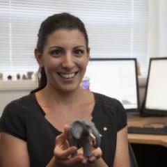 Dr Olga Panagiotopoulou
