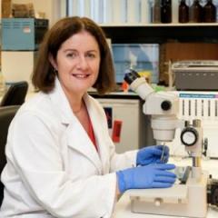 Associate Professor Karen Moritz