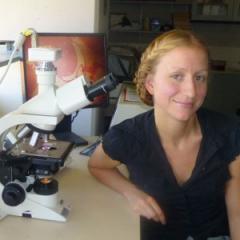 Dr Kirsty Short