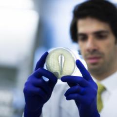 Researcher Hosam Mamoon Zowawi said the ‘phantom’ superbugs were found during a region-wide collaborative study on superbugs.