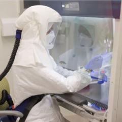 UQ research hones in on new TB drugs