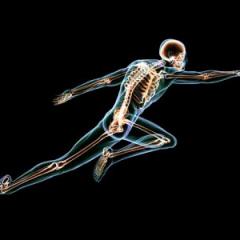 The National Health and Medical Research Council (NHMRC) has given $8.3 million in funding to a UQ musculoskeletal project.