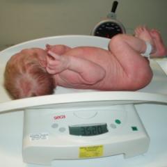 Genes can help explain why some babies have a low birth weight.