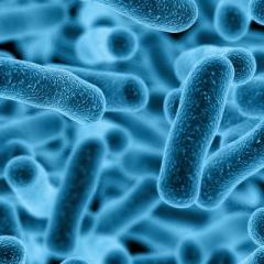 Tailored treatments a new way to fight superbugs