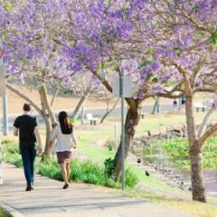30 minutes in the outdoors has health significant benefits