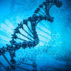 A UQ clinical trial will focus on the connection between diet and how genes are controlled. Source: iStock.
