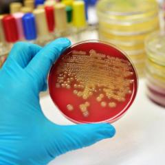 Indigenous children at greater risk of ICU admission for invasive infections 