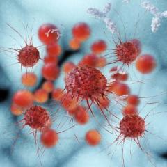 Vaccine prototype has cancer-fighting potential
