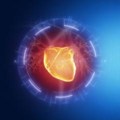 Volunteers needed for cutting-edge heart trial