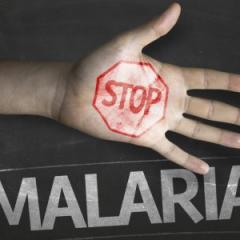 Declaration commits to eradicating malaria in the Asia Pacific.