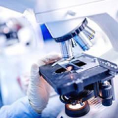 UQ's Faculty of Medicine has been awarded more than $14 million by the NHMRC