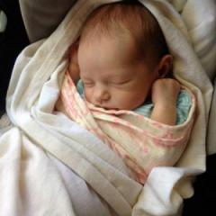 Babies’ hearts can repair themselves, prompting UQ researchers to investigate new heart attack treatments.