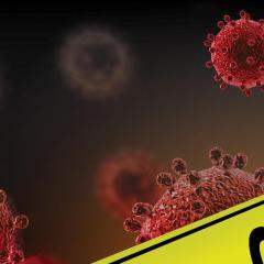 COVID-19 – A pandemic revolution