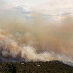Smoke coming from a bushfire